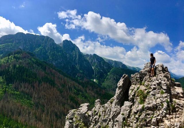 Apartament Bazatatry Swistak Zakopane Kültér fotó